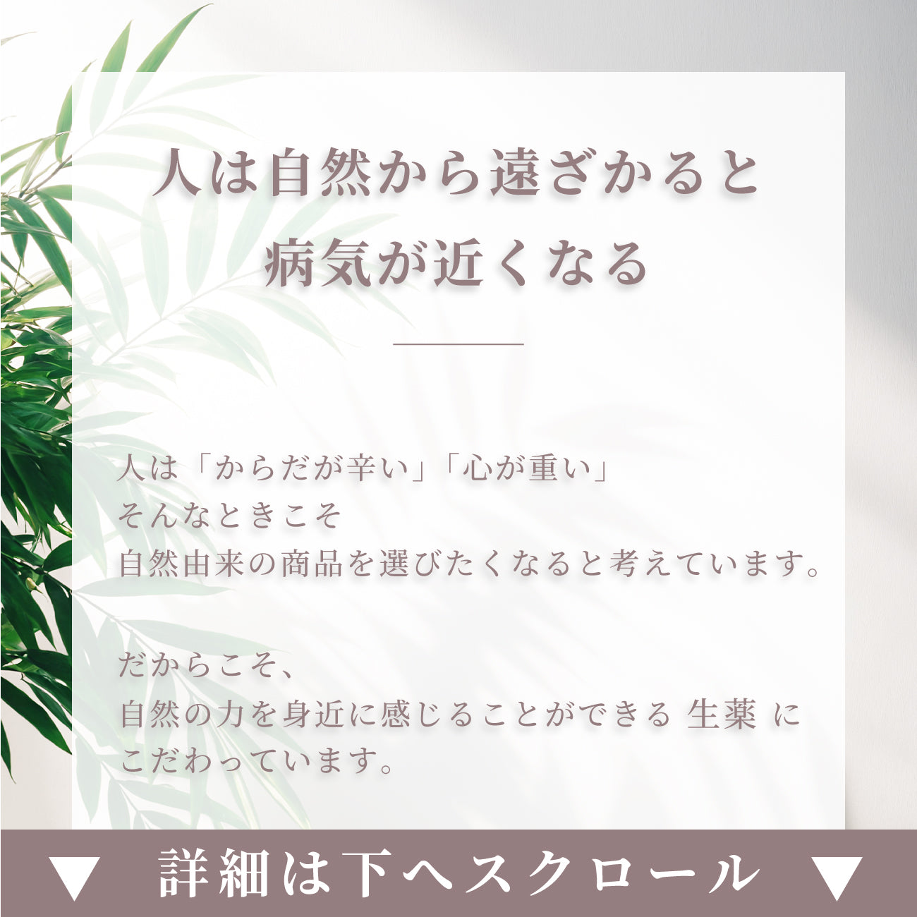 TOUJI 05 / 03