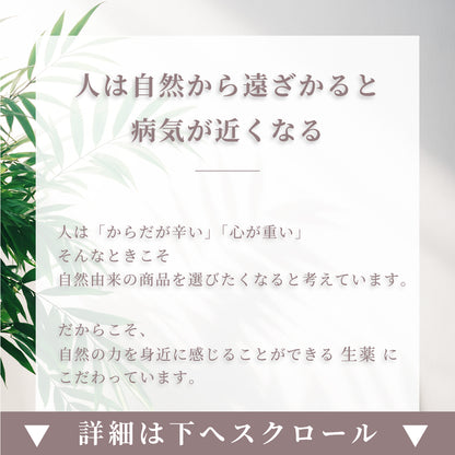 TOUJI 05 / 03