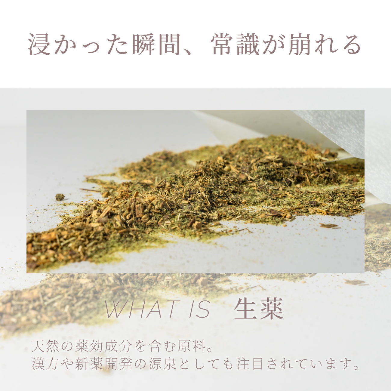 TOUJI 05 / 03