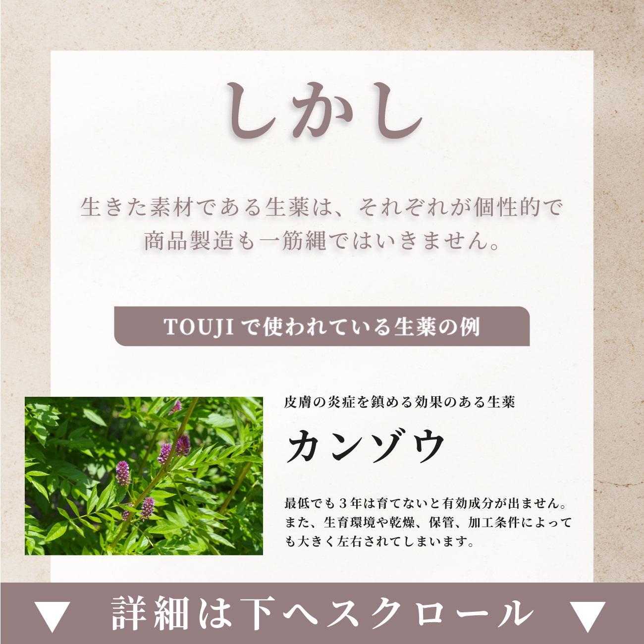 TOUJI 05 / 03