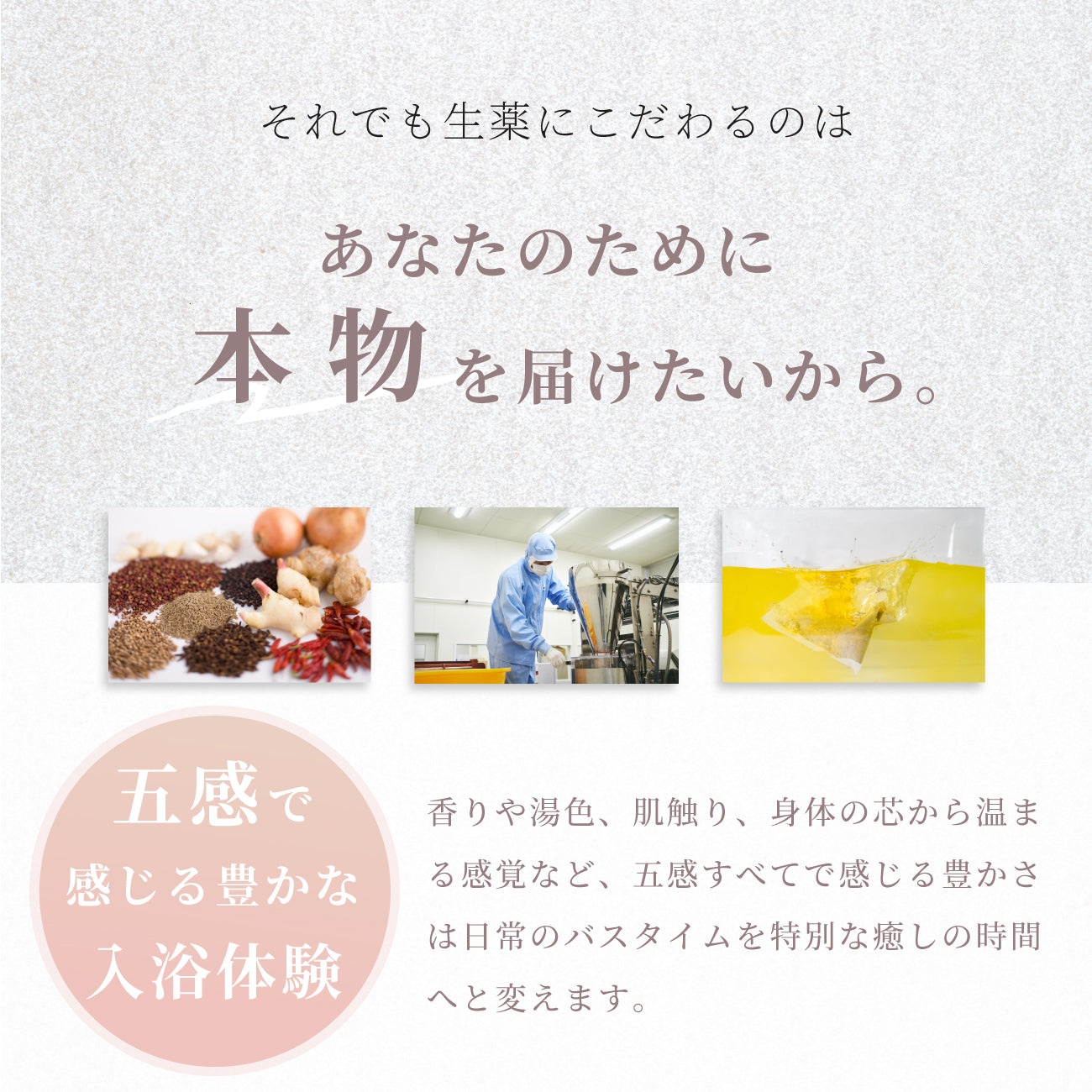 TOUJI 05 / 03